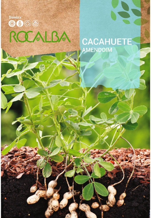 Földimogyoró (Rocalba) 10 g