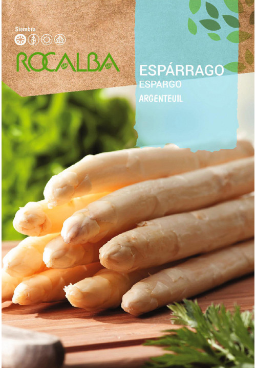 Rocalba Spárga Argenteuil vetőmag