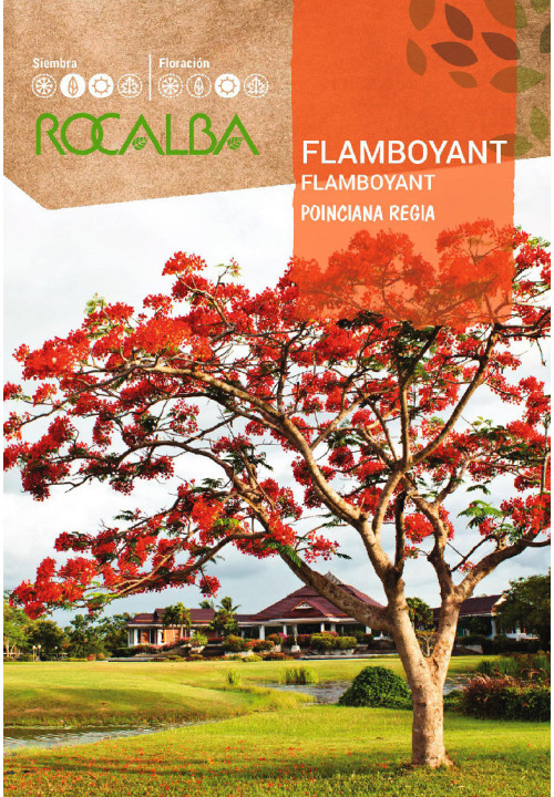Pillangófa (Rocalba)  1 g