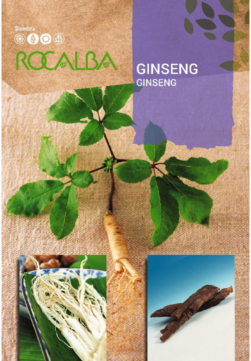 Rocalba Ginzeng (Panax Ginseng)