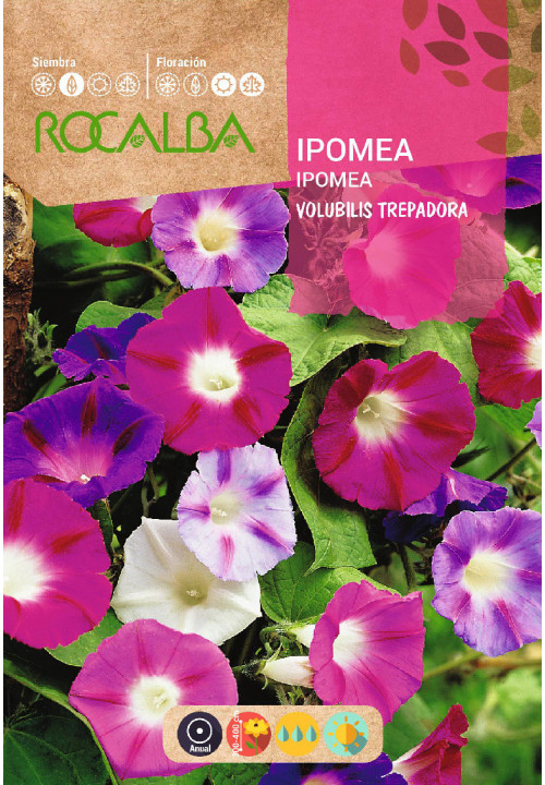Rocalba hajnalka színkeverék 10g