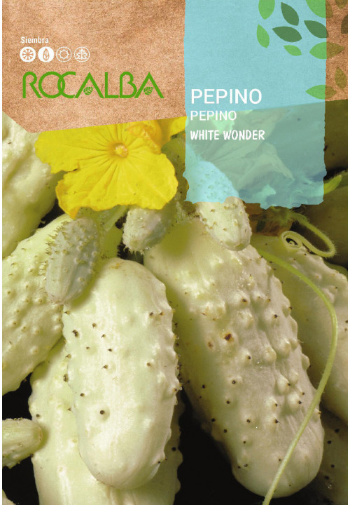 Rocalba Uborka White Wonder vetőmag