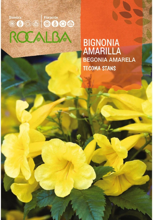 Rocalba Sárga Trombitacserje Bignonia Amarilla 1 g