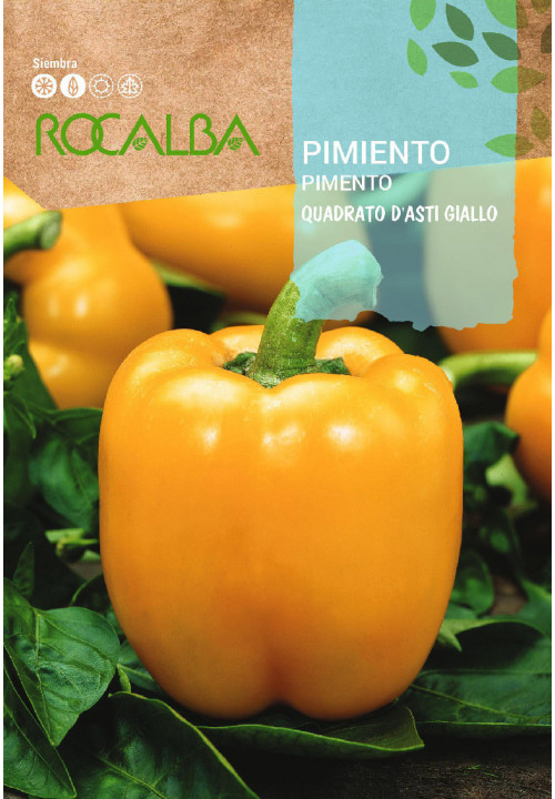 Rocalba  Kaliforniai sárga paprika Quadrato D'asti Giallo vetőmag 1g
