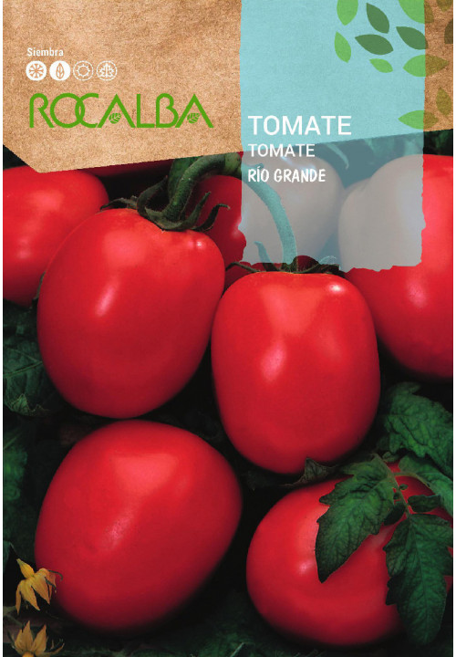 Rocalba Paradicsom Rio Grande 1 g