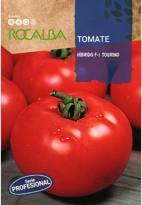 Rocalba Paradicsom Touring F1 vetőmag