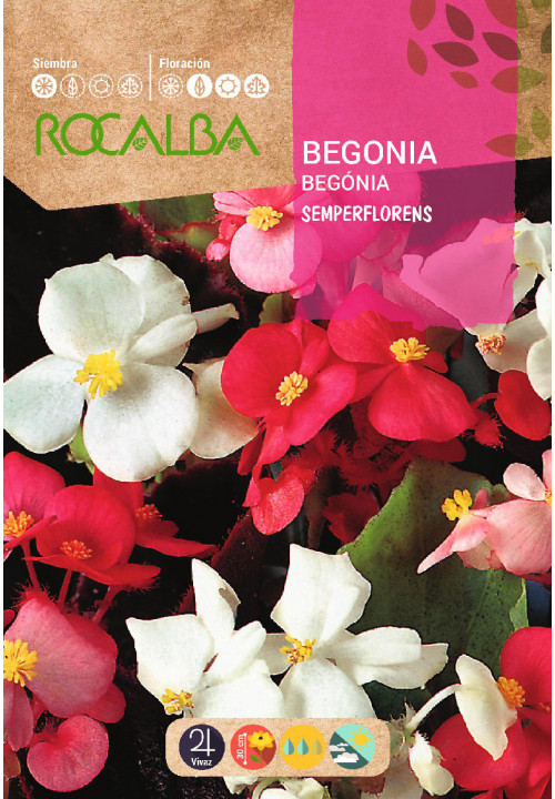 Rocalba Begónia Semperflorens 0,1 g