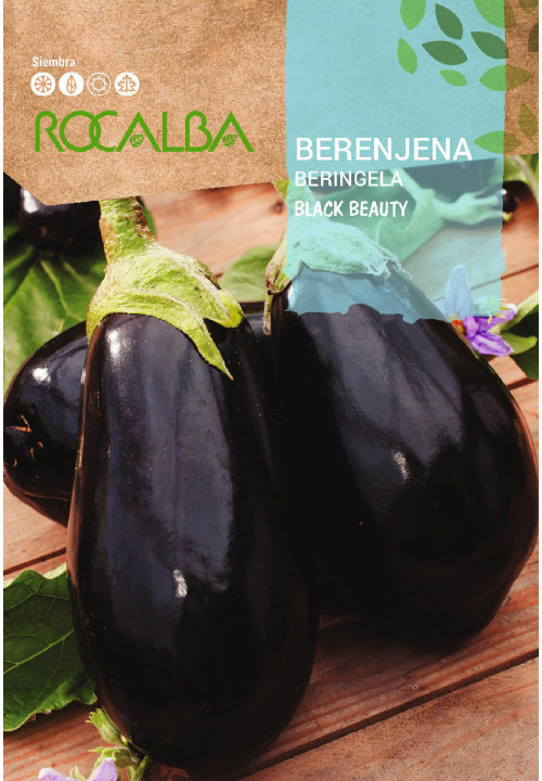 Rocalba tojásgyümölcs, padlizsán Black Beauty 3g