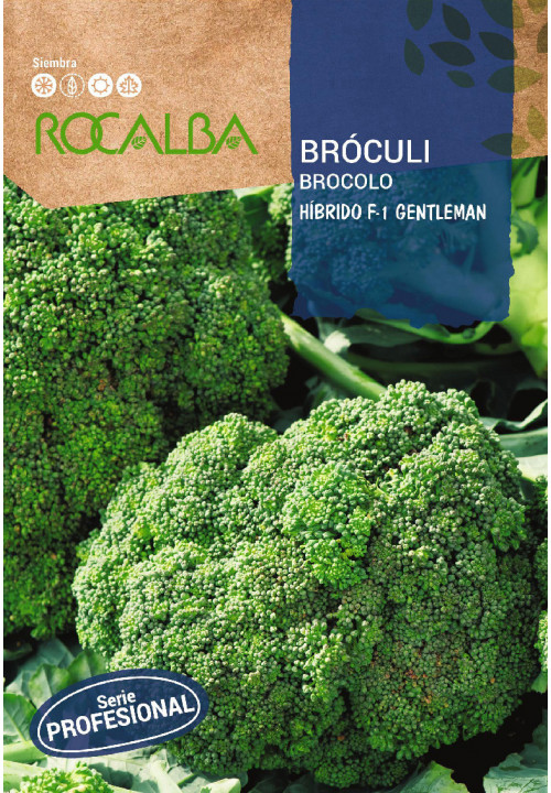 Rocalba brokkoli Gentleman F1 - Hibrid