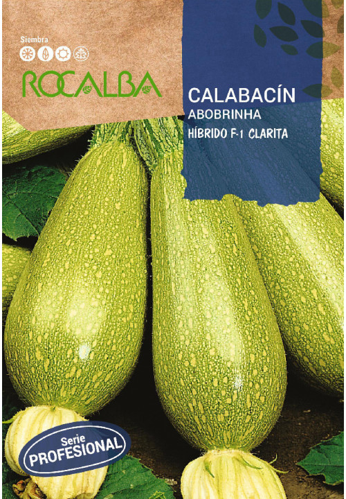 Rocalba Cukkini Clarita F1, 3g