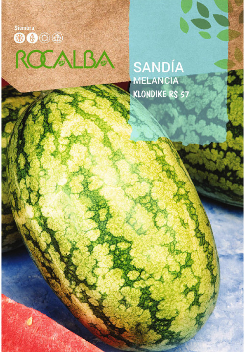 Rocalba Görögdinnye Klondike RS57