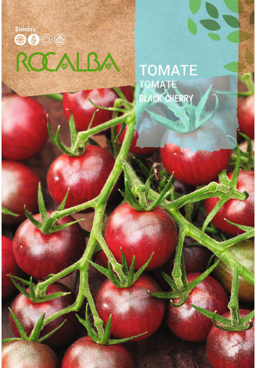 Rocalba Koktélparadicsom Black Cherry vetőmag