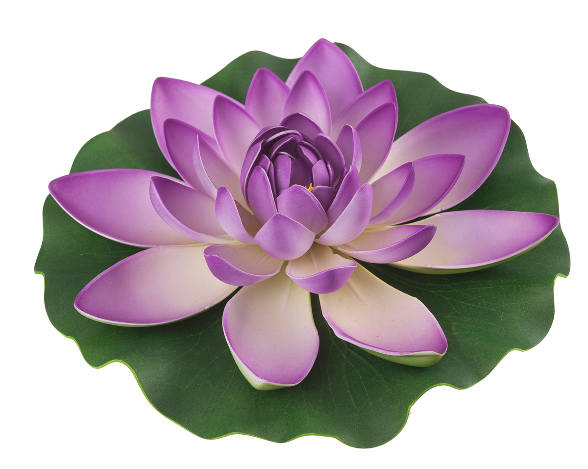 Ubbink Tórózsa pink 28cm - Tündérrózsa