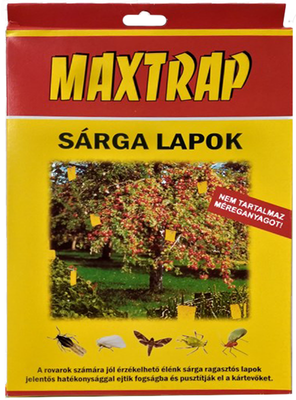 Maxtrap rovarfogó sárga lap nagy 10db-os 17x24cm