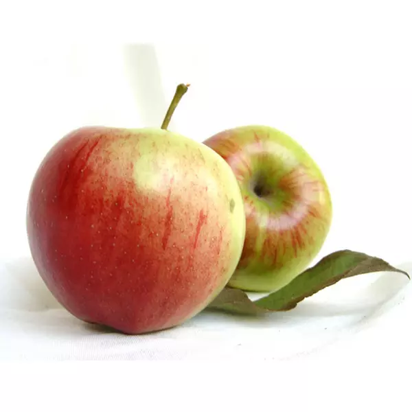 Idared alma gyümölcsfa, szabadgyökeres