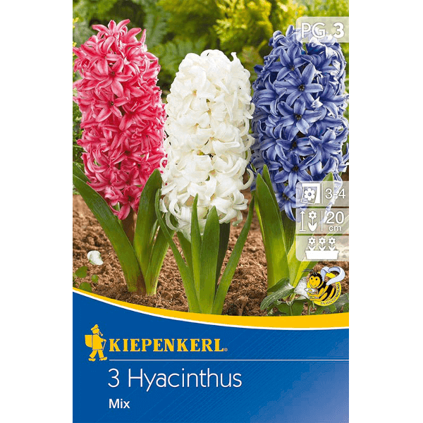 Kiepenkerl Hyacinthus Mix vegyes jácint virághagymák 3 db
