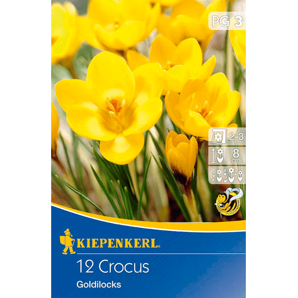 Kiepenkerl Goldilocks Krókusz hagyma botanikai,  12 db