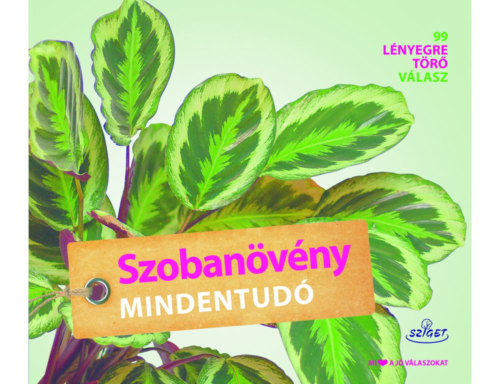 Folko Kullmann Szobanövény mindentudó