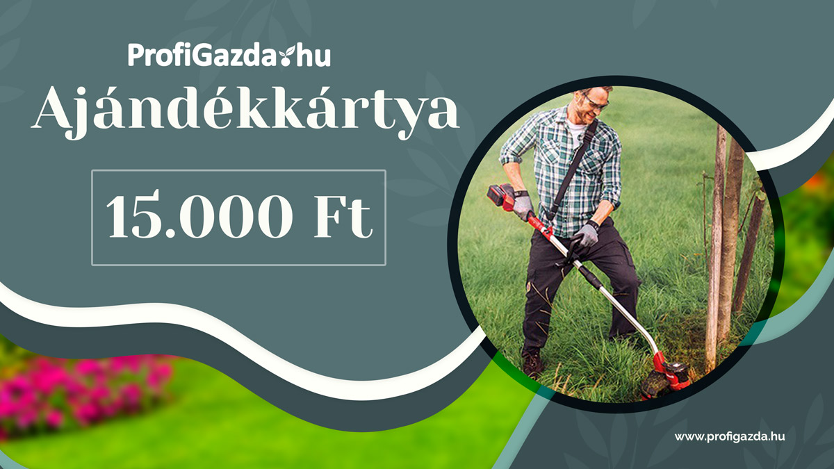 Ajándékkártya vásárlási utalvány férfiaknak 15.000 Ft értékben