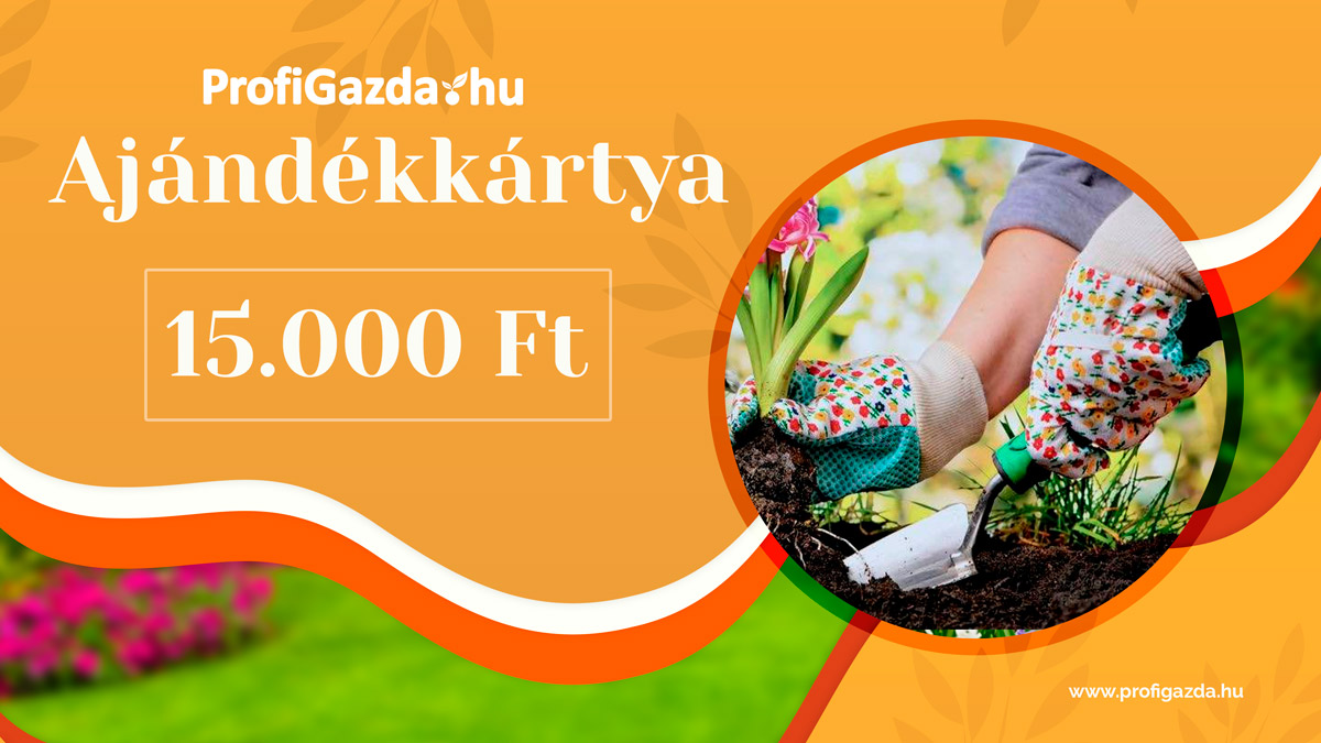 Ajándékkártya vásárlási utalvány nőknek 15.000 Ft értékben