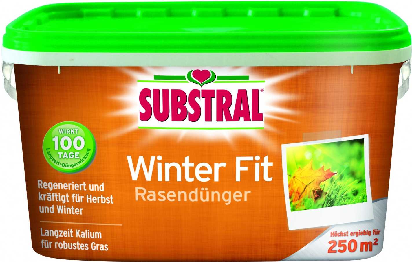 Substral Gyeptrágya Téli felkészítő 5 kg-- 250 m2