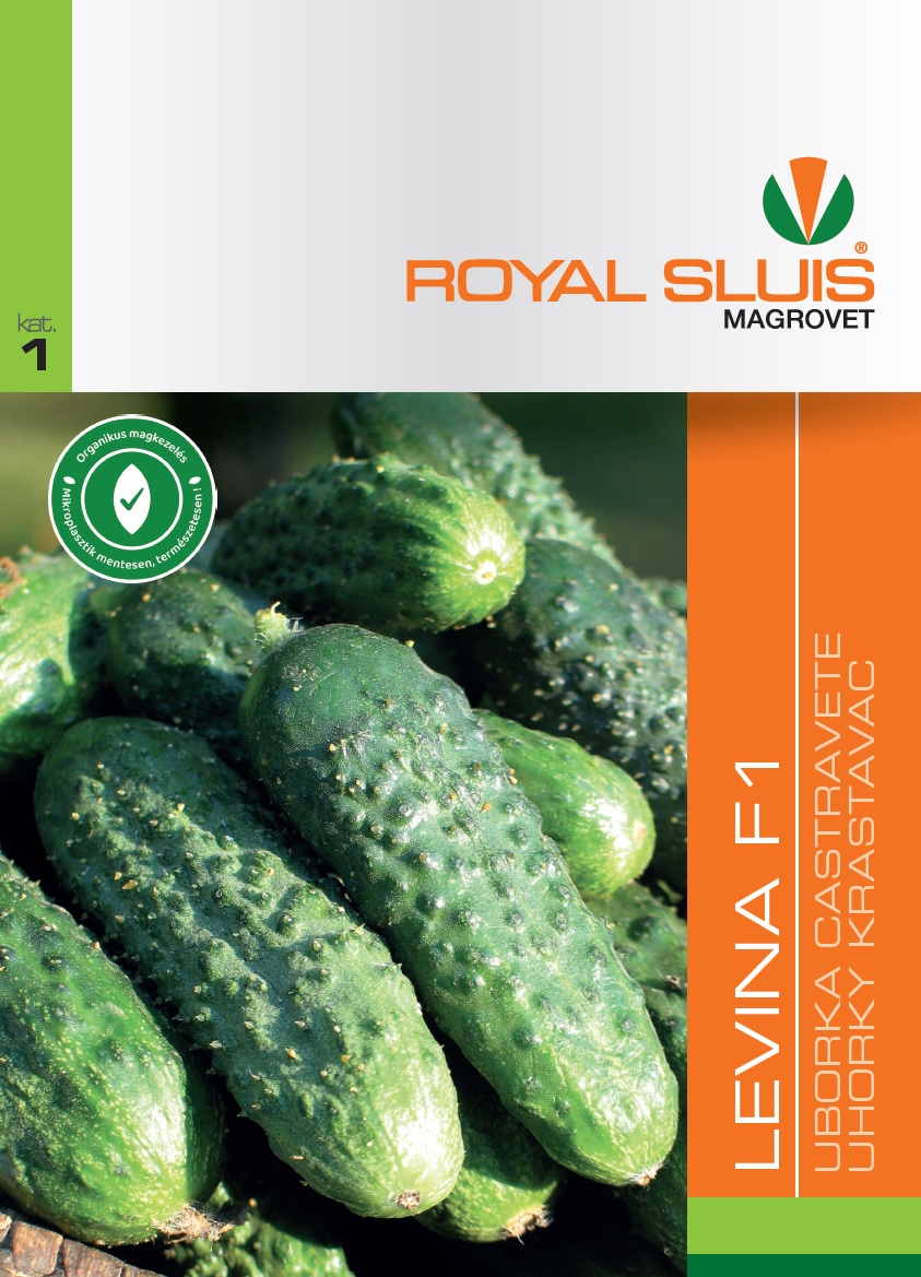 Royal Sluis Uborka Levina F1 vetőmag 0,1g