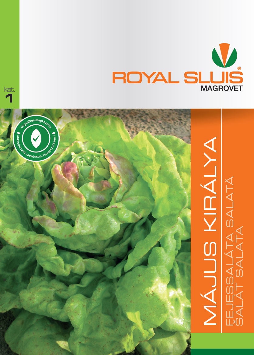 Royal Sluis Saláta Május Királya vetőmag 2,5g