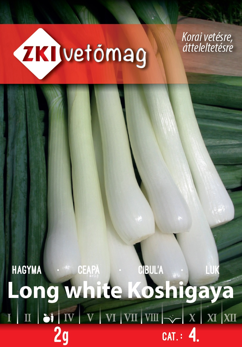 ZKI Kötöző hagyma Long White Koshigaya Vetőmag 2g