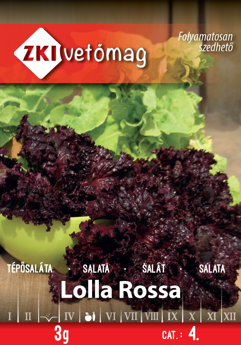 ZKI Saláta Lolla Rossa Vetőmag 3g
