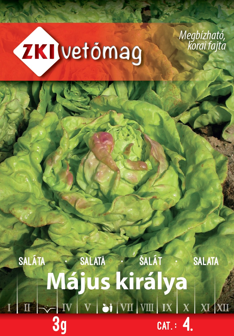 ZKI Saláta Május királya Vetőmag 3g